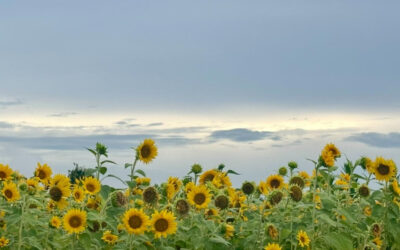 Do you KNOW… Have you heard?